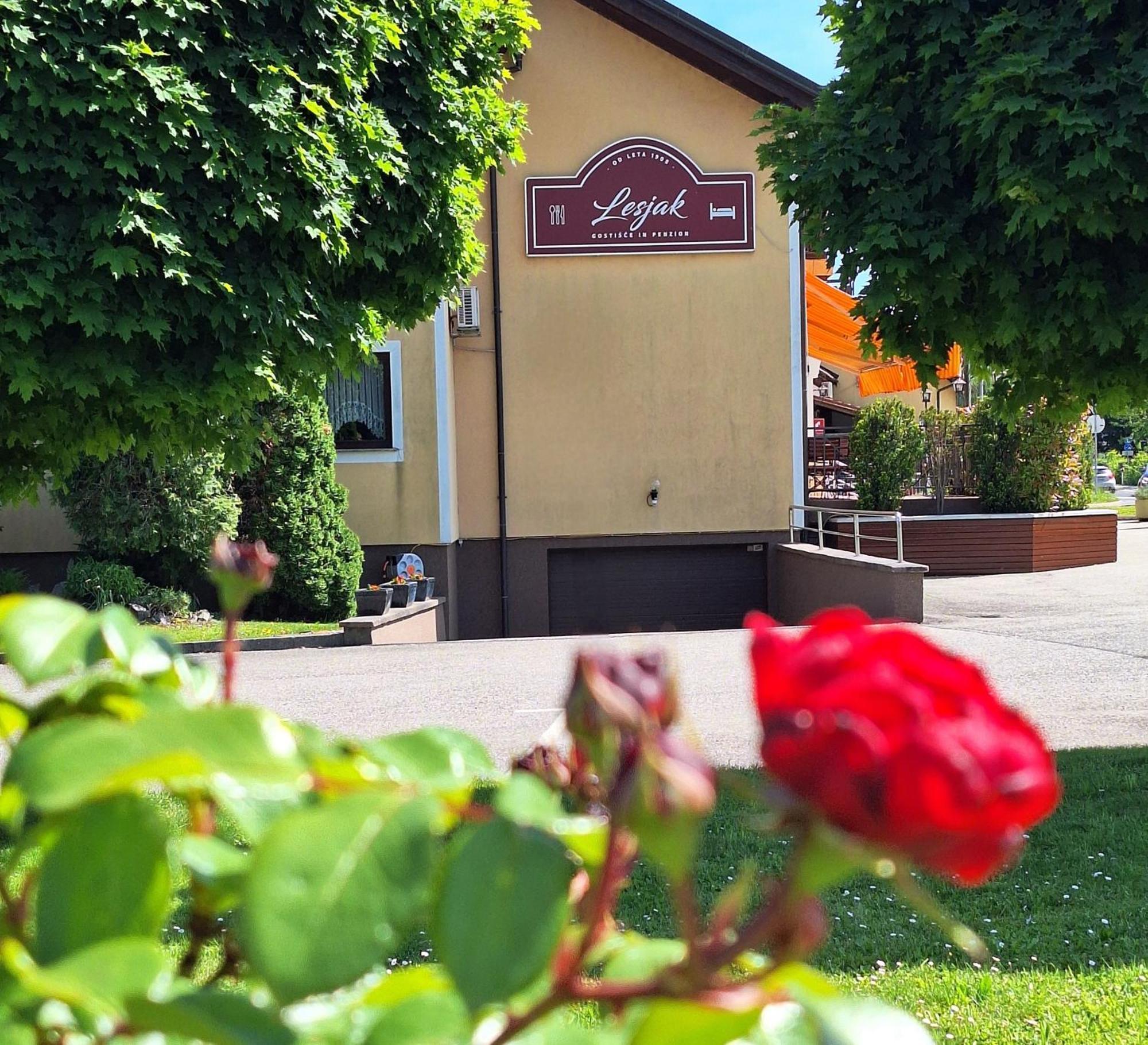 Penzion Gostisce Lesjak Orehova vas المظهر الخارجي الصورة